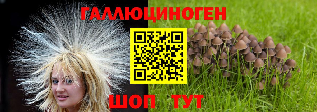 Туапсе  Галлюциногенные грибы Cubensis  Вход с VPN 